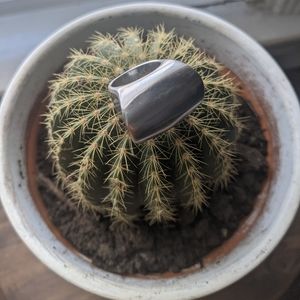 💗💗 silver ring